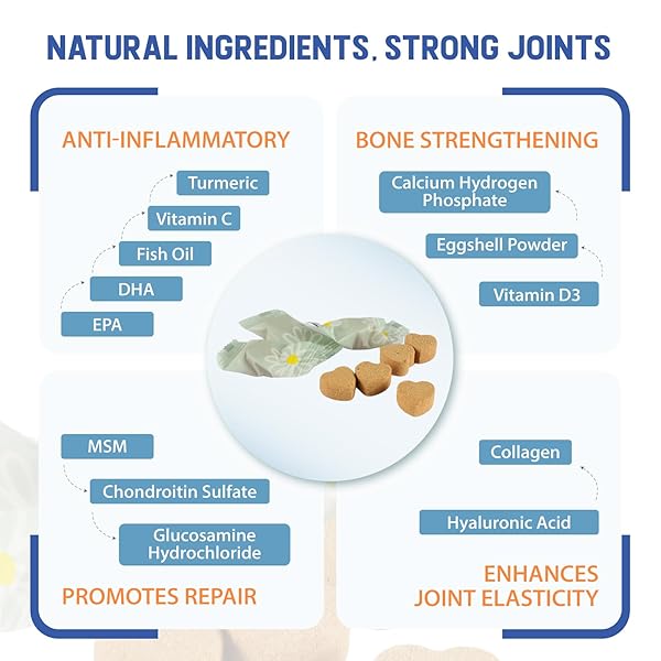 UPGRADE DOG HIP AND JOINT SUPPLEMENT, 60 SOFT CHEWS, HIP AND JOINT SUPPLEMENT WITH MSM, GLUCOSAMINE, CHONDROITIN, TURMERIC, PROMOTES JOINT HEALTH & PAIN RELIEF FOR ALL DOG & CATS, CHICKEN FLAVOR
