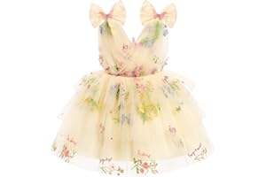 IMEKIS Toddler Girls Butterfly Birthday Dress Rainbow Tulle Formal Wedding Party Ruffle Tutu Dresses Photo Shoot