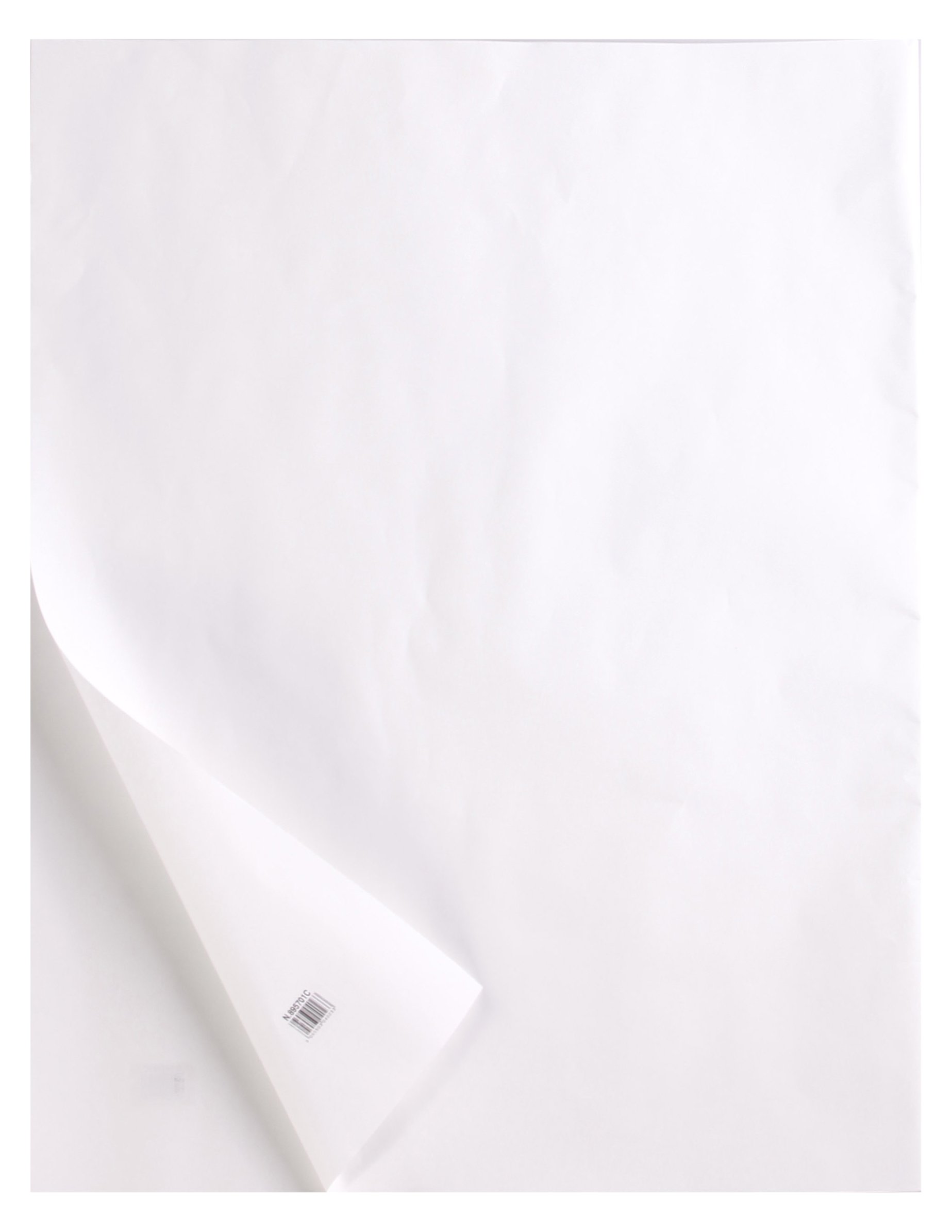 Clairefontaine - Ref 975122C - Tracing Paper Roll (Single Roll) - 0.375x20m Sized, 140g, High Transparency, Smooth Surface, Acid Free, Printable - Suitable for Ink, Marker & Pencil