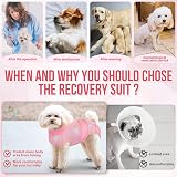 SlowTon Dog Recovery Suit Anti-Licking Medical Onesie with Zipper view 3