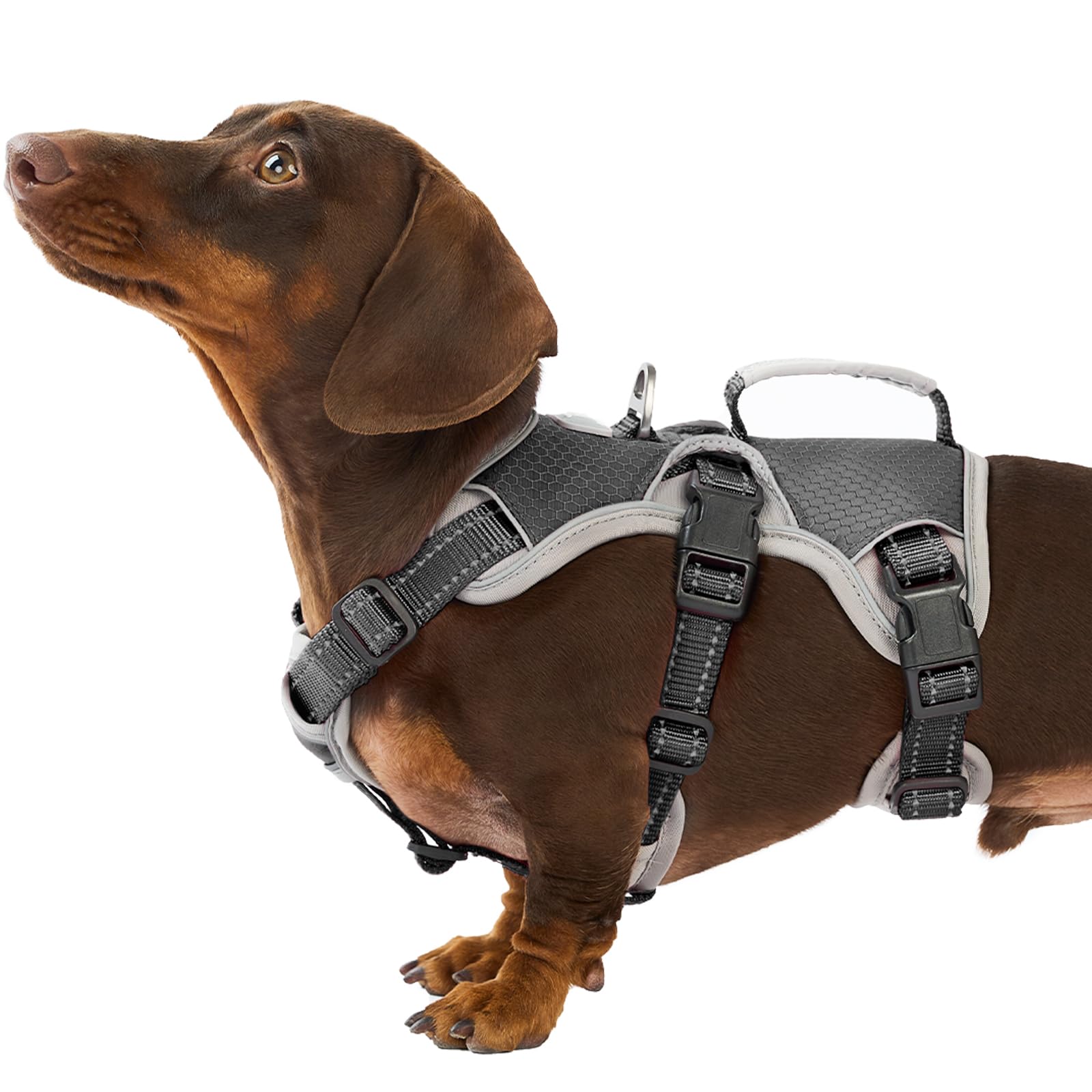 Huntboo Escape Proof Dog Harness - Reflective with Handle, Adjustable, Breathable Vest for Small to Large Dogs - Walking, Training, Running Gear (Black, S) — image 1