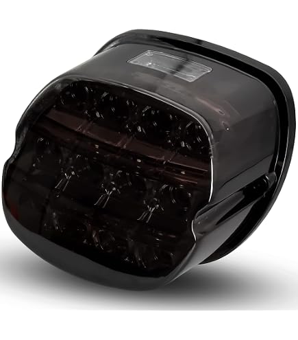 Skull Tail Lamp Collar Cover For Harley Road King FLHR / Classic EFI / FLHRI / FLHRCI – Chrome