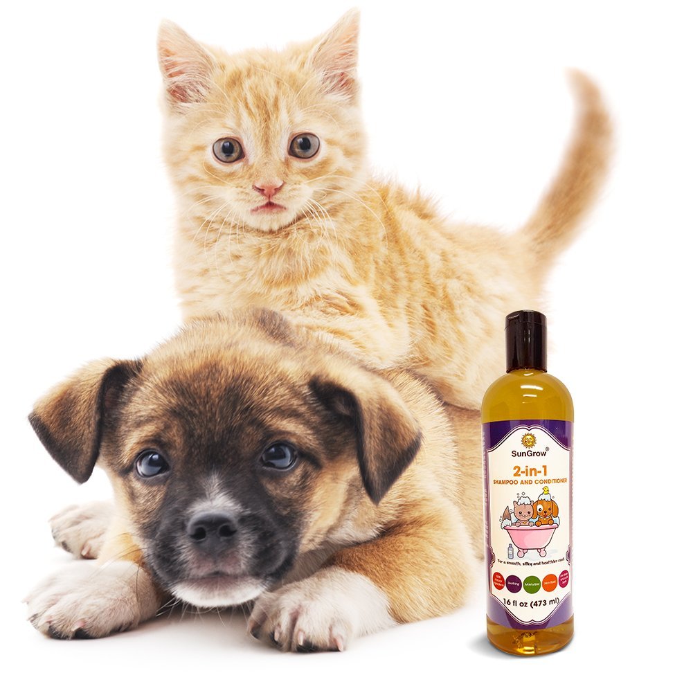 SunGrow Vet Trusted 2-in-1 100% Organic, Medicinal Pet Shampoo Plus Conditioner for Cats/Dogs, Deodorizes, Moisturizes and Improves Coat/Fur Enriched with Aloe Vera/Coconut