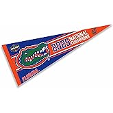 University of Florida 2025 Basketball National Champions Pennant Banner Flag