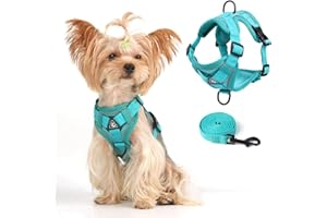 SKMEDITEC Vest Harness Leash Set for Small Dog Large Cat, Upgraded Escape Proof Adjustable Jacket with Lead for Puppy Fat Cat Outdoor Walking, Soft Breathable Mesh Coat with Reflective Strip for Dark XL Green