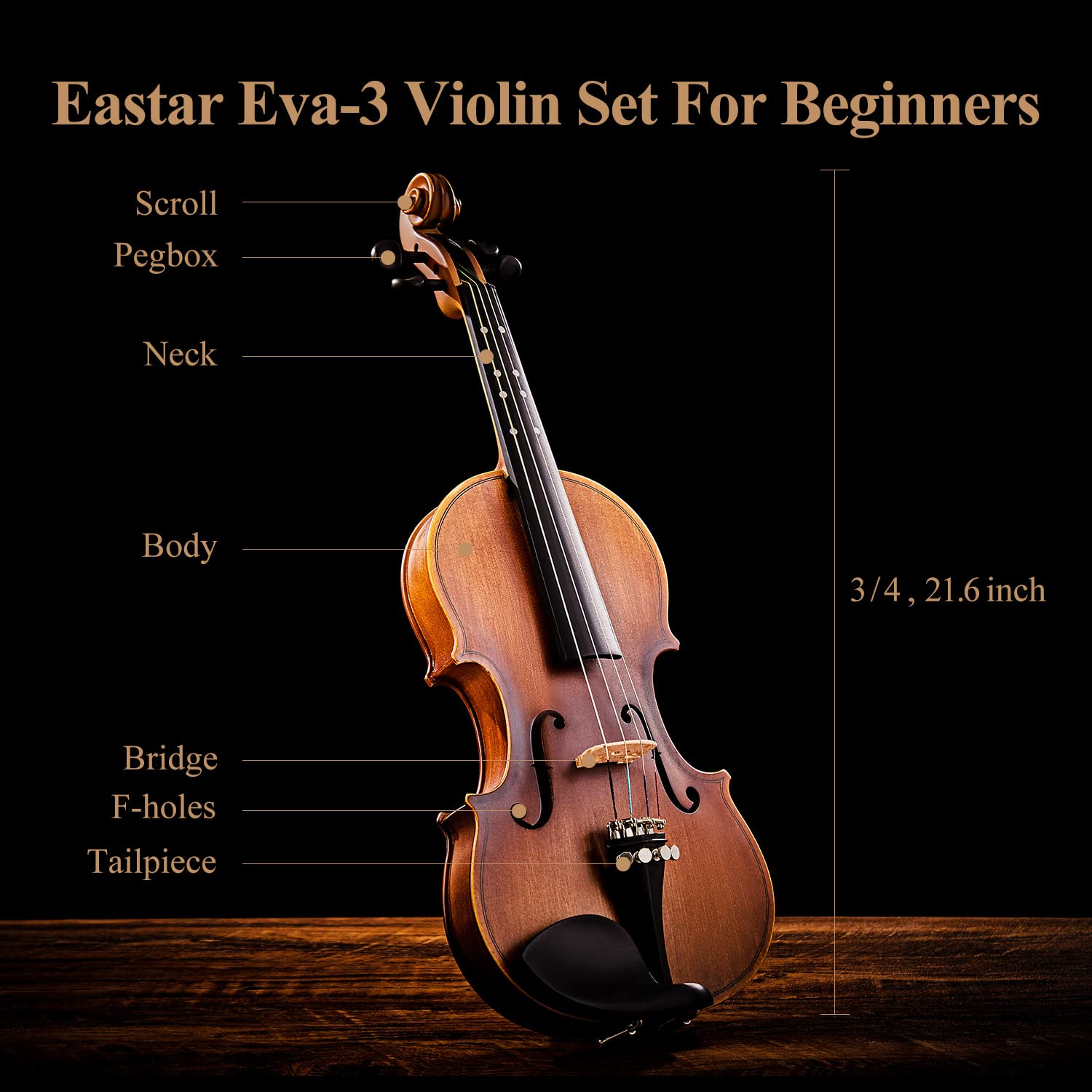 Violin Set Fiddle
