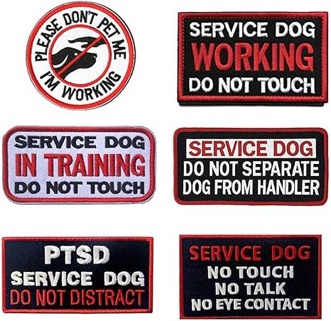 doberman cross puppies for sale