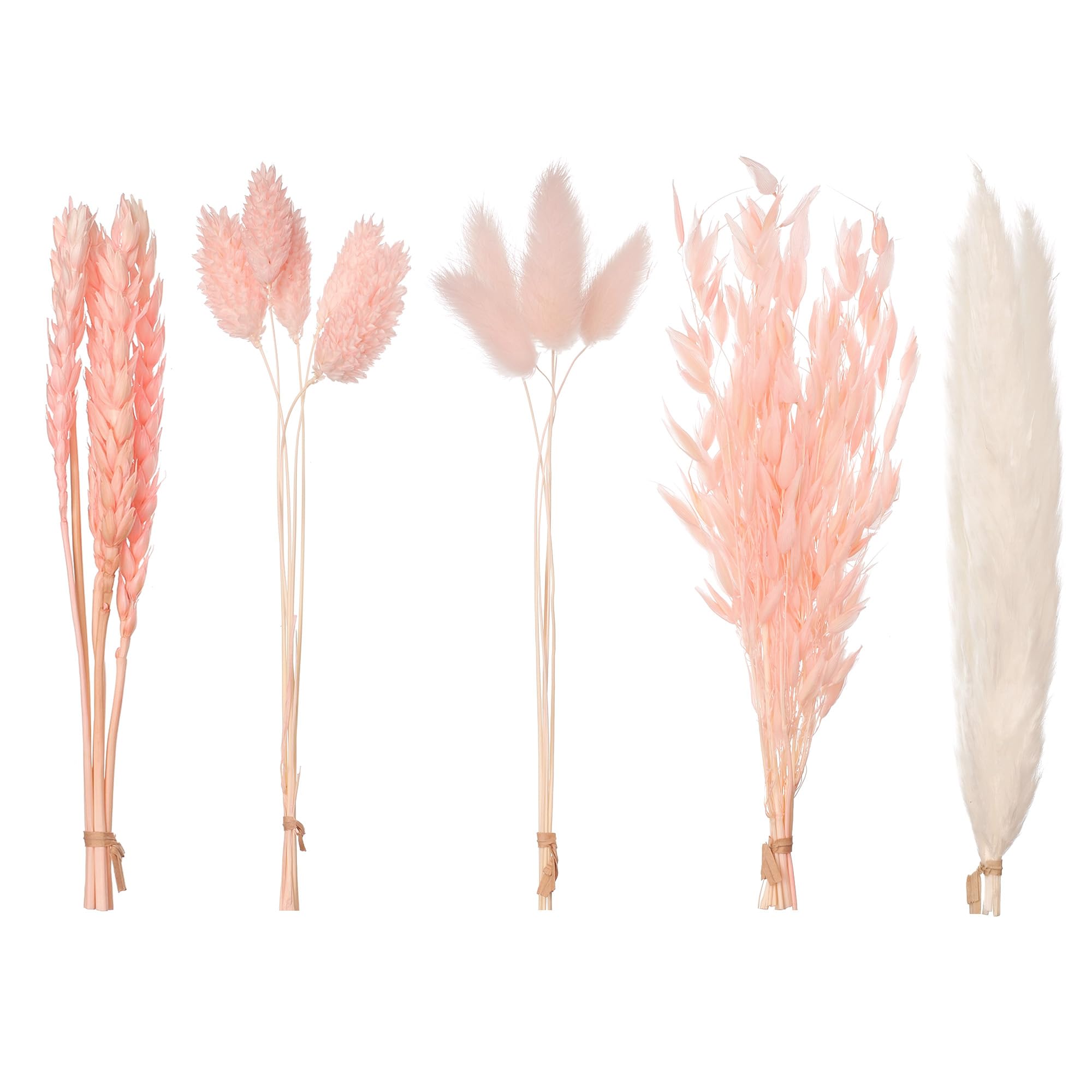 The Baked Studio - Original Dried Flower Set Containing Pampas, Oats, Wheat, Lagarus Bunny Tails & Phalaris For Cake & Cupcake Decorating & Others Crafts (Light Pink)