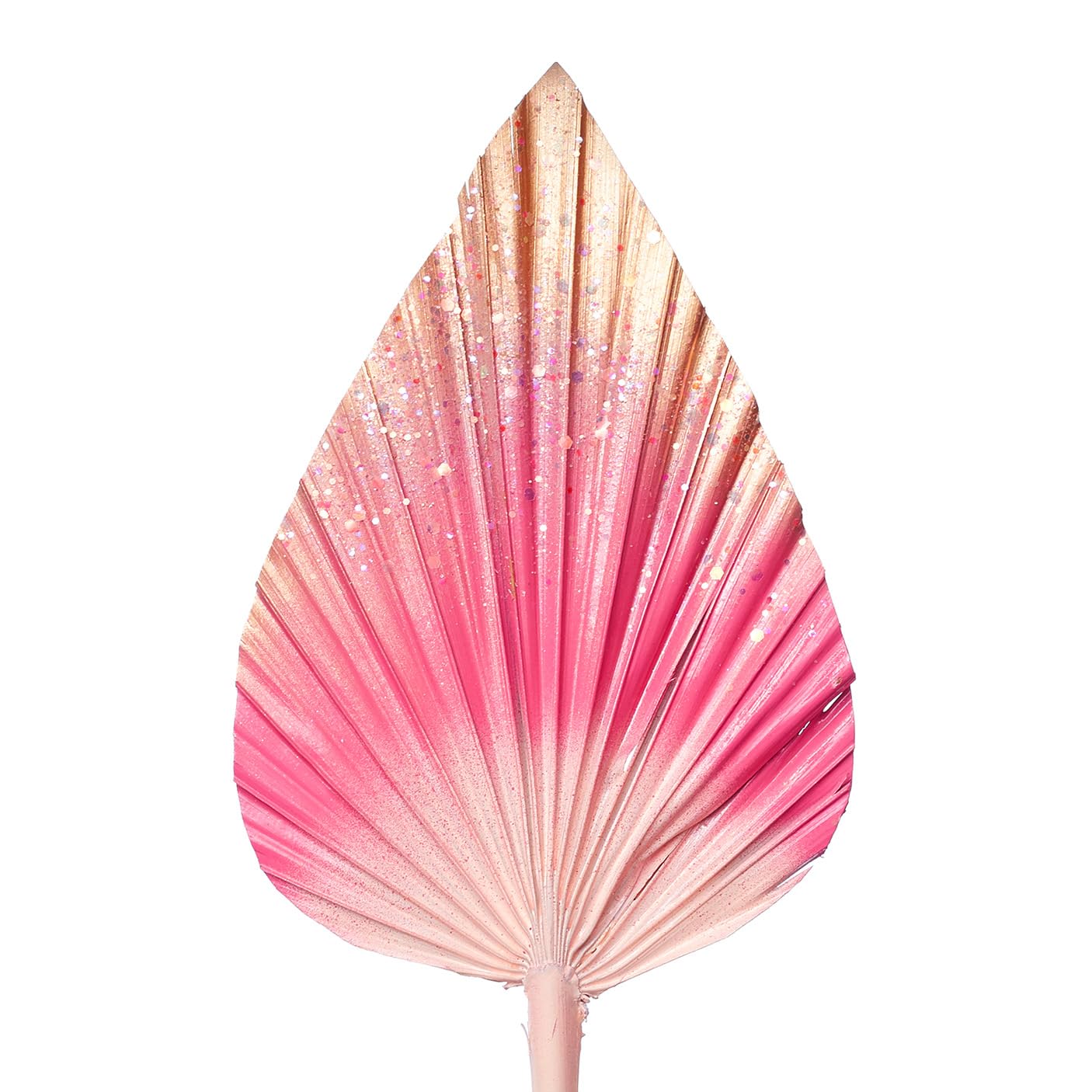 The Baked Studio - Dried Palm Leaf Leaves Palm Spear Cake Topper for Cake Decoration (Pink & Gold Ombre With Glitter)
