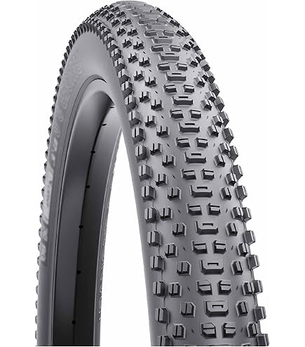 Amazon.com : WTB Ranger Mountain Bike Tire (29