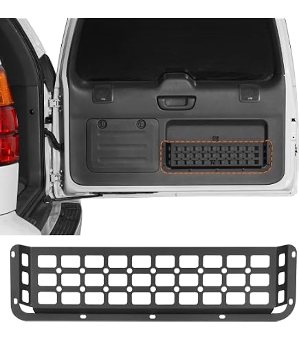 Amazon.com: Osompar Interior Rear Door Assist Handle with Clip