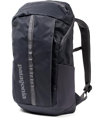 Amazon.com | Patagonia Refugio Day Pack 47928 BLK Backpack 7.9 gal