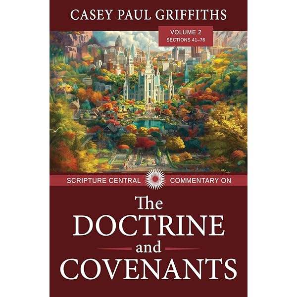 洋書 RELATED STATE DOCTRINES State's Rights – Discerning History