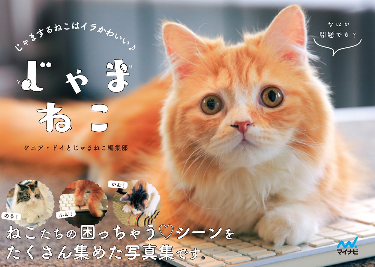 じゃまねこ じゃまするねこはイラかわいい ケニア ドイとじゃまねこ編集部 本 通販 Amazon