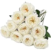 DH EYB 10 Pcs Artificial Flowers Rose, Silk Austin Rose Flower Bouquet, Fake Roses Faux Floral with Stem for Wedding Bridal Party Arrangements Bouquets, Dining Table Home Decor Centerpieces, White