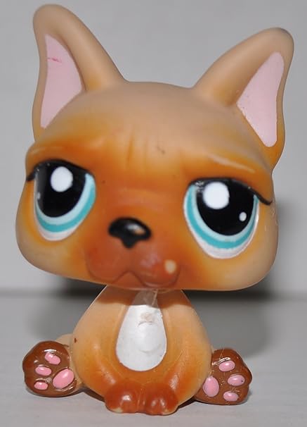 acana lamb and okanagan apple