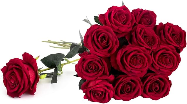 Amazon Com Royal Imports Artificial Red Roses 1 Dozen Realistic Silk Touch 30 Long Single Stems Use For Bouquet Centerpiece Wedding Home Decor Vase Flower Gift Kitchen Dining Amazon Com Royal Imports Artificial Red Roses 1 Dozen Realistic Silk Touch 30 Long Single Stems Use For Bouquet Centerpiece Wedding Home Decor Vase Flower Gift Kitchen Dining