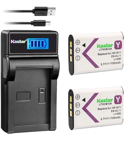 Amazon.com : Battery Pack and LCD USB Travel Charger for Pentax