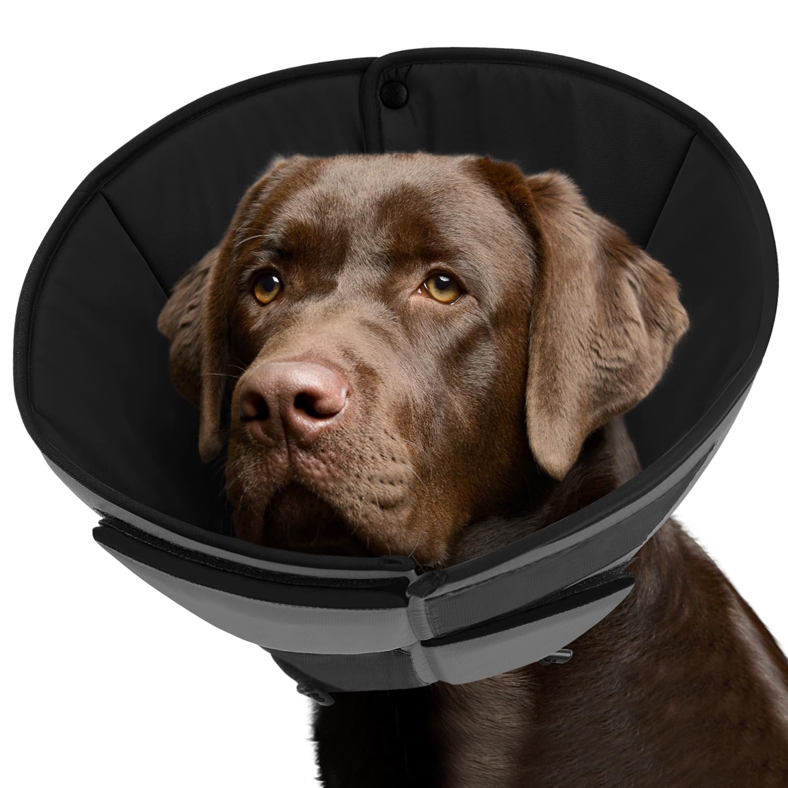 Photo 1 of Queenmore Dog Cones for Large Dogs, Soft Dog Cone for Large Breeds, Cone for Dogs After Surgery, Adjustable Elizabethan Collar for Pet to Prevent Licking Wounds, Grey L