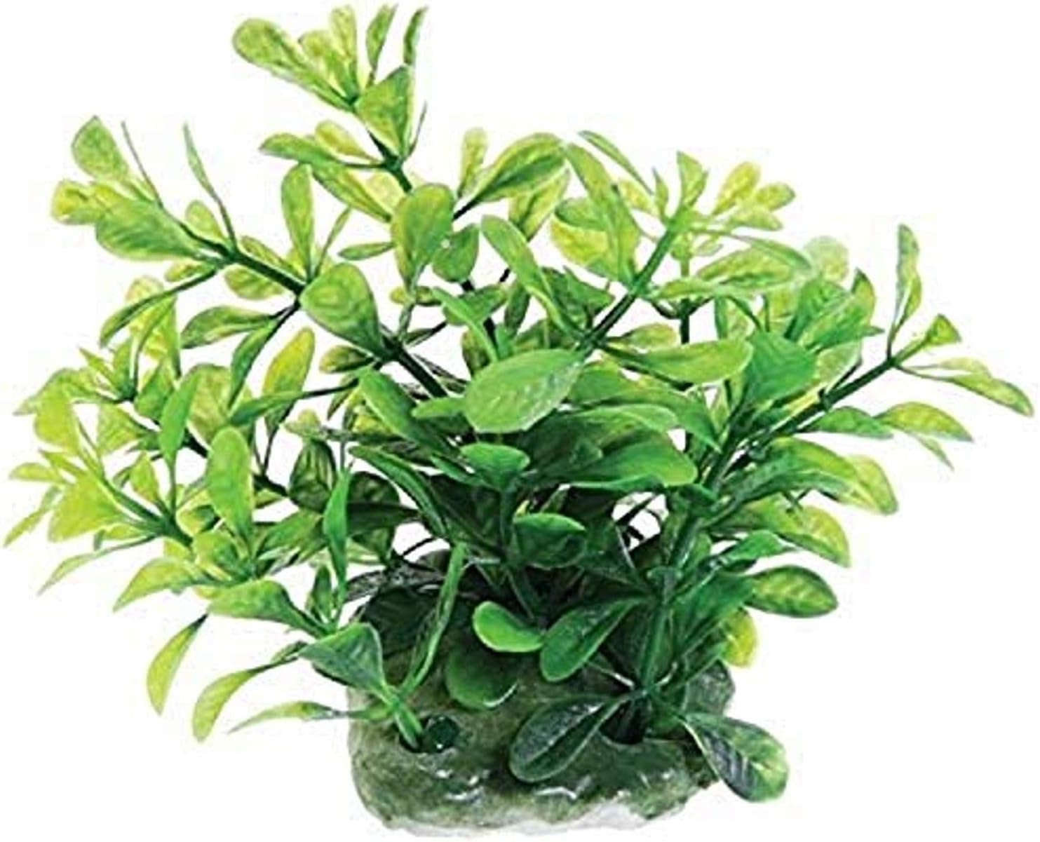 Underwater Treasures 20742 Green Moneywort