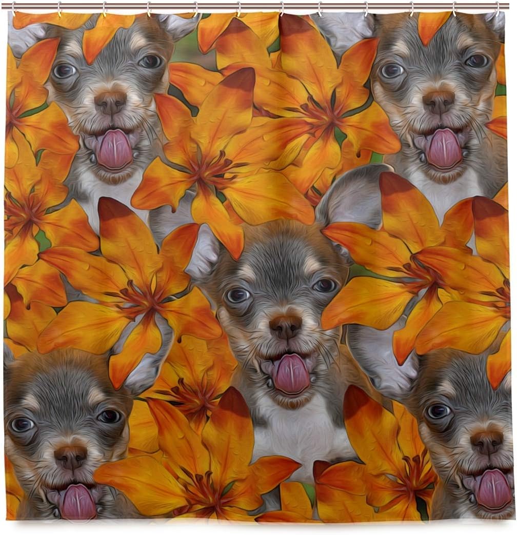 Amazon Kapanou防水 シャワーカーテン 美しいカラフルなデジタルイラスト小さなチワワ かわいいシャワーカーテン ユニットバス バスルーム 芸術の装飾 180cmx180cm バスフック付き 取り付け簡単 シャワーカーテン ホーム キッチン オンライン通販