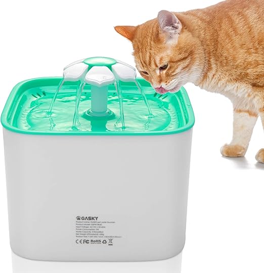 amazon cat fountain filters