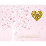 C.R. Gibson Gold and Pink Baby Calendar Family Tree, 11'' W x 18'' H