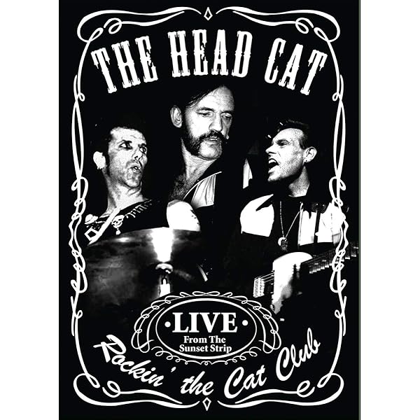 Amazon.com: Sammy Hagar & the Waboritas - Cabo Wabo Birthday Bash