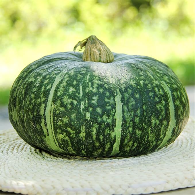 Japanese Melon Vegetable Seed Meticulous Selection of Fine Varieties