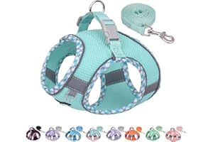 AIITLE Durable Dog Harness and Leash Set for Walking, Step in Vest Harness, Reflective Bands, Soft Breathable Pet Supplies, for Extra Small Dogs and House Cats Turquoise XXXS