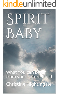 spirit babies book