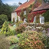 Image de Cottage Garden