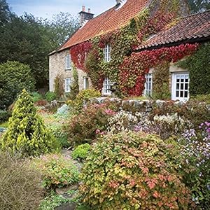 Cottage Garden