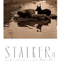 Mirror Andrei Tarkovsky 2K Restore, Blu-ray: Amazon.ca