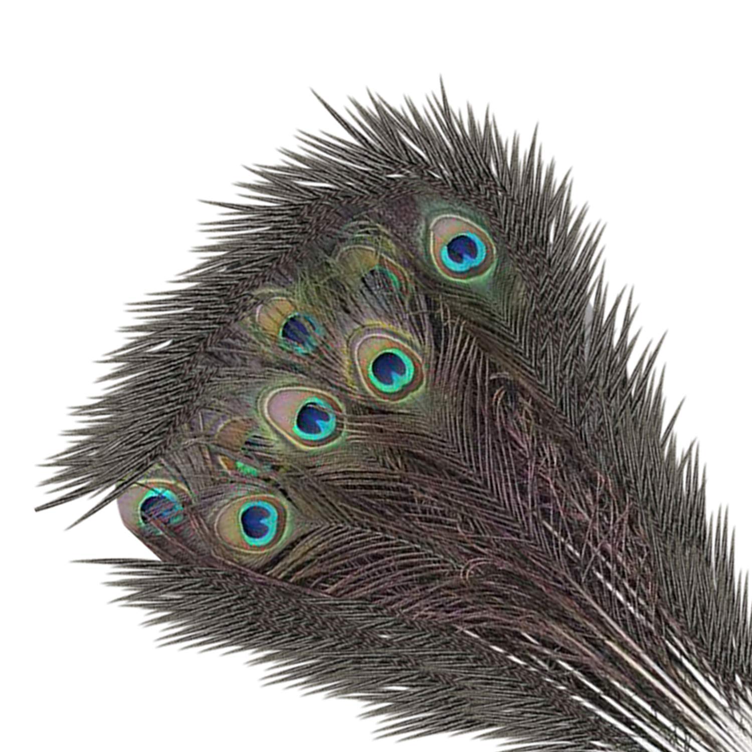 Skl 100pcs Peacock Feather 10 12 With Eye For Home Diy Decoration