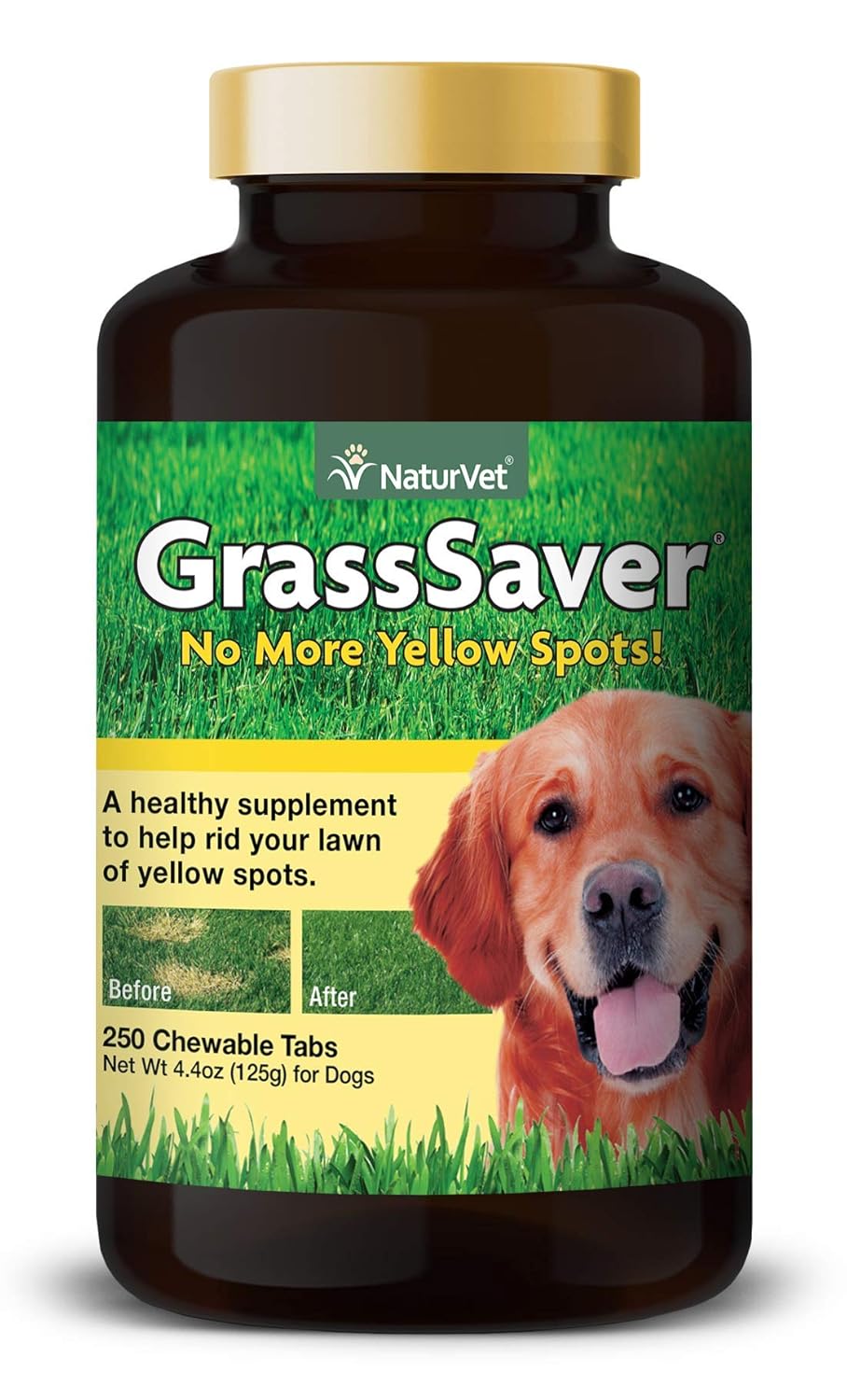 how does grass help dogs