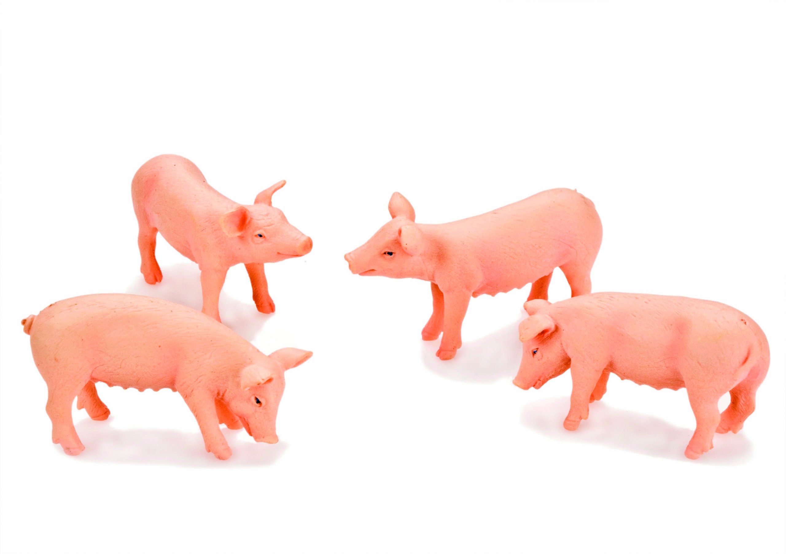 Kids Globe Van Manen 571905 Pig figures (set of 4)