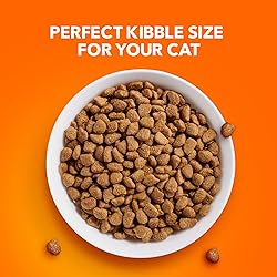IAMS Proactive Health Indoor Weight Control