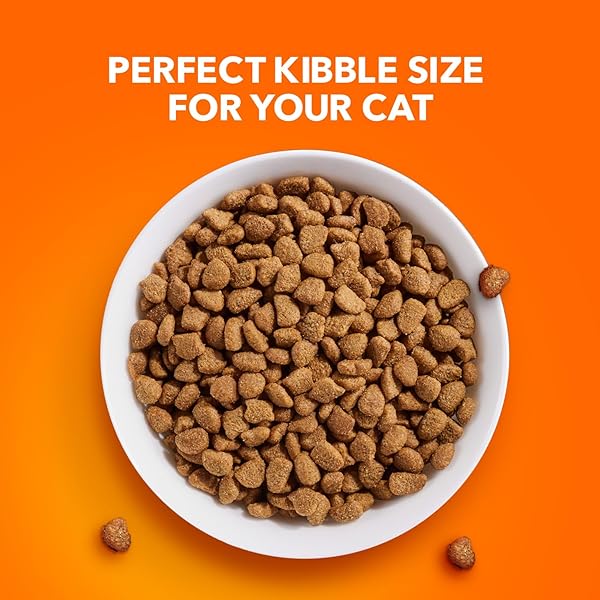 IAMS PROACTIVE HEALTH ADULT HEALTHY DRY CAT FOOD WITH CHICKEN, 7 LB. BAG