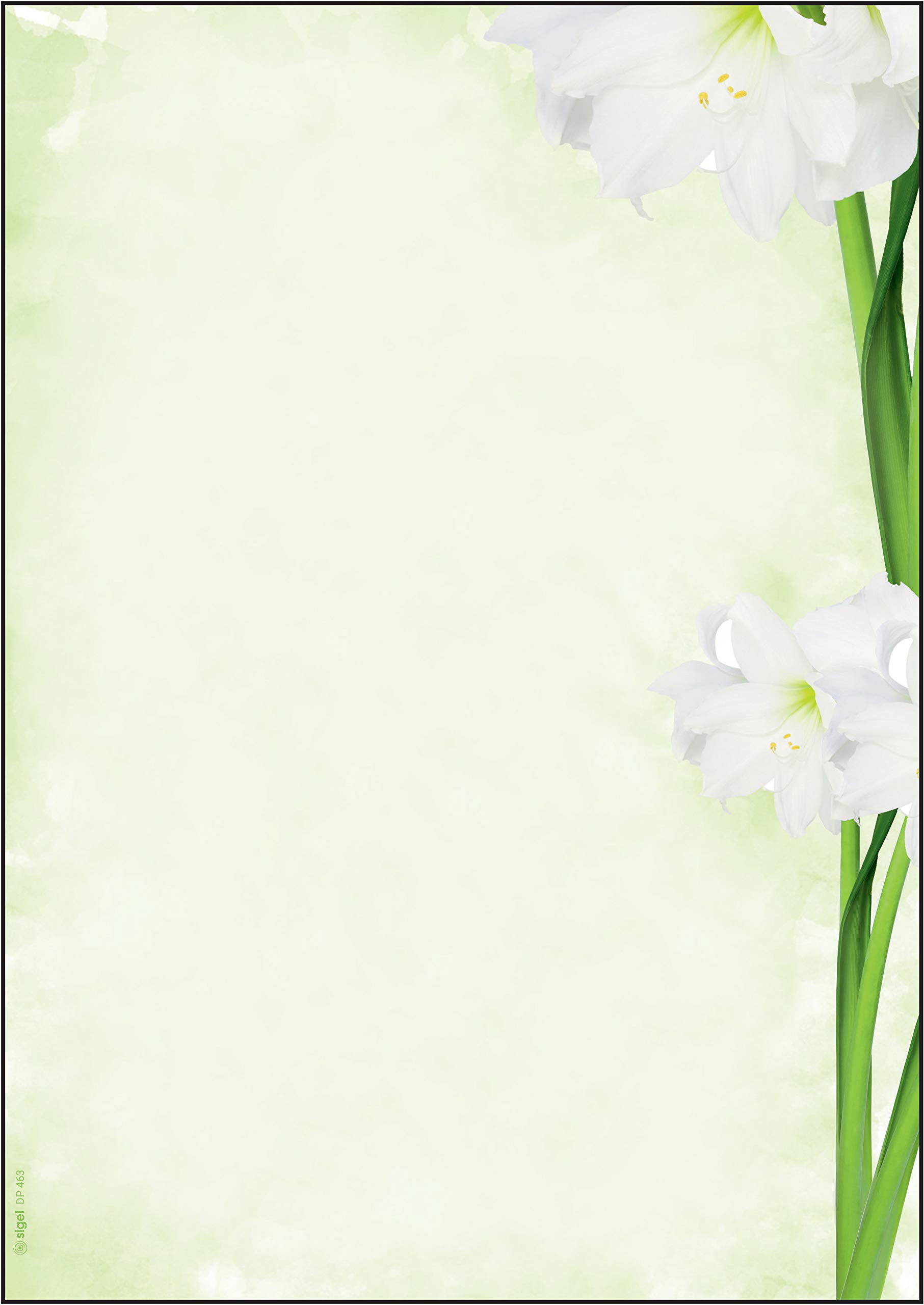 SIGEL DP463 Writing paper "Amaryllis", A4, 90 gsm, 25 sheets