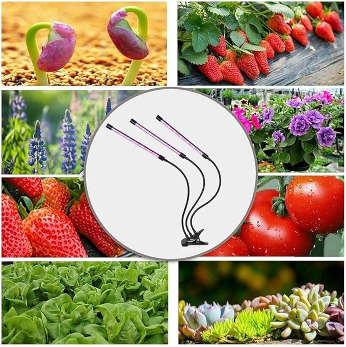 Amazon.com: Golden789Shop LED Grow Light Plant Growing Lamp Lights for