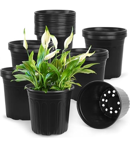 Amazon.com: Elite 2.5 Gallon (Trade) Black Nursery Container Pot -  50/Bundle : Patio, Lawn & Garden