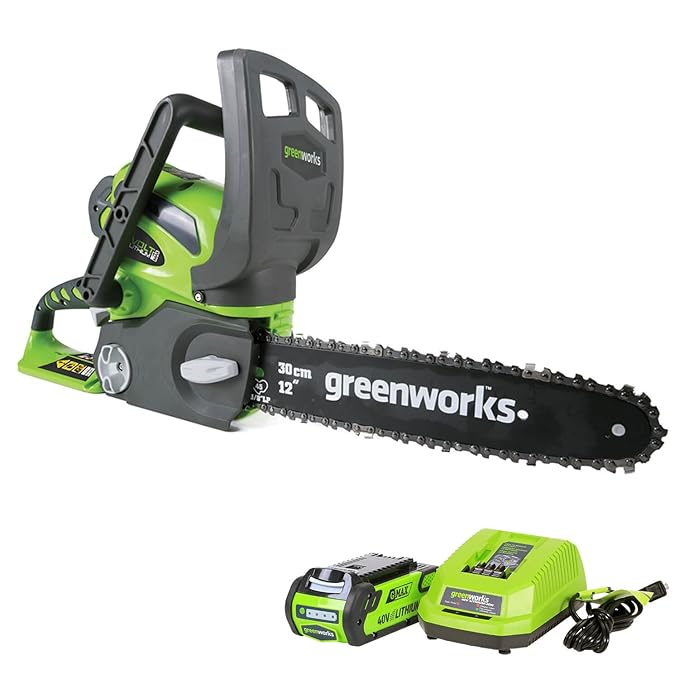 Best Battery Chainsaws Top 10 REVIEWS Feb 2021