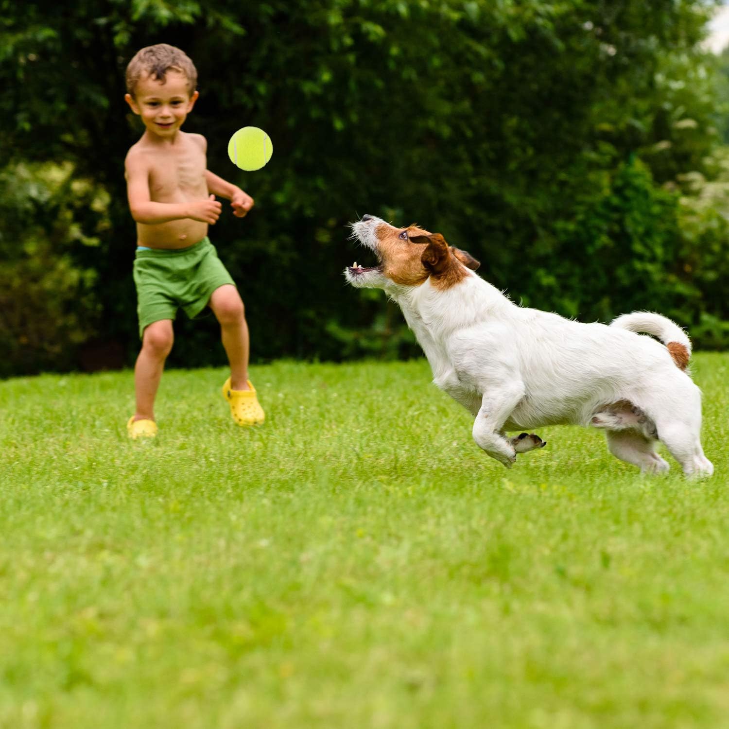 3 Pieces Tennis Training Equipment Tennis Trainer Rebounder Tennis Ball Trainer Set with String for Kids Youth Beginner Practice at Home Training Tool : Sports & Outdoors
