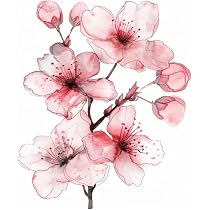 Amazon.com - White Cherry Blossom Car Sticker Decal, Sakura ...