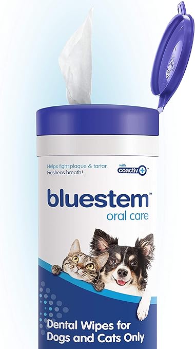 dog teeth cleaning pads