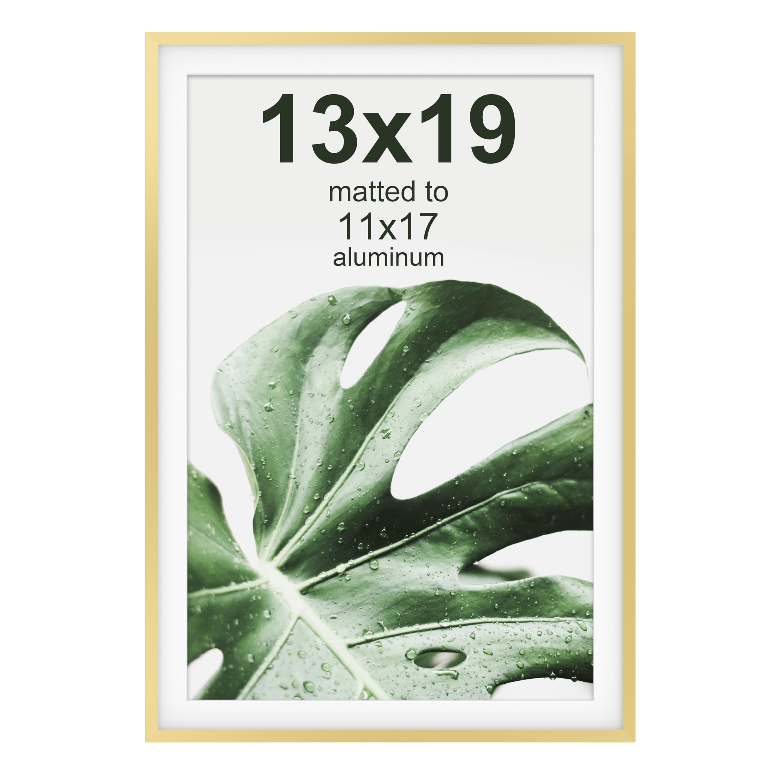 Photo 1 of FrameWorks 13”x19” with 11”x17” Mat – Brass Gold Deluxe Modern Aluminum Picture Frame with Tempered Glass and Removable Mat