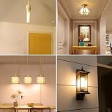 Akynite 13W G24q-1 CFL 4 Pin 2700K 850lm 2U Shape AC220-240V 2pcs view 7