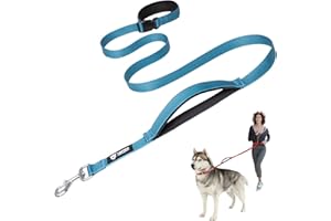 TSPRO Hands Free Dog Leash Adjustable Walking Running Dog Leash with Control Safety Padded Handle and Heavy Duty Clasp for Medium Large Dogs (Blue)