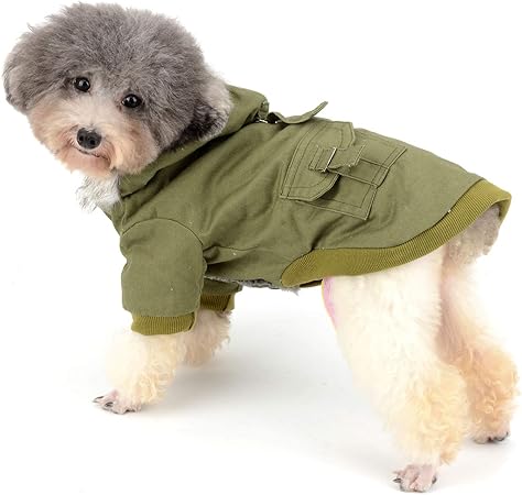 chihuahua clothes amazon